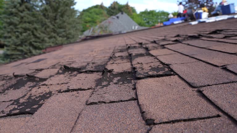 Trusted Elk Grove Village, IL Roofing Experts