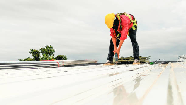 Best Hot Roofs  in Elk Grove Vlage, IL